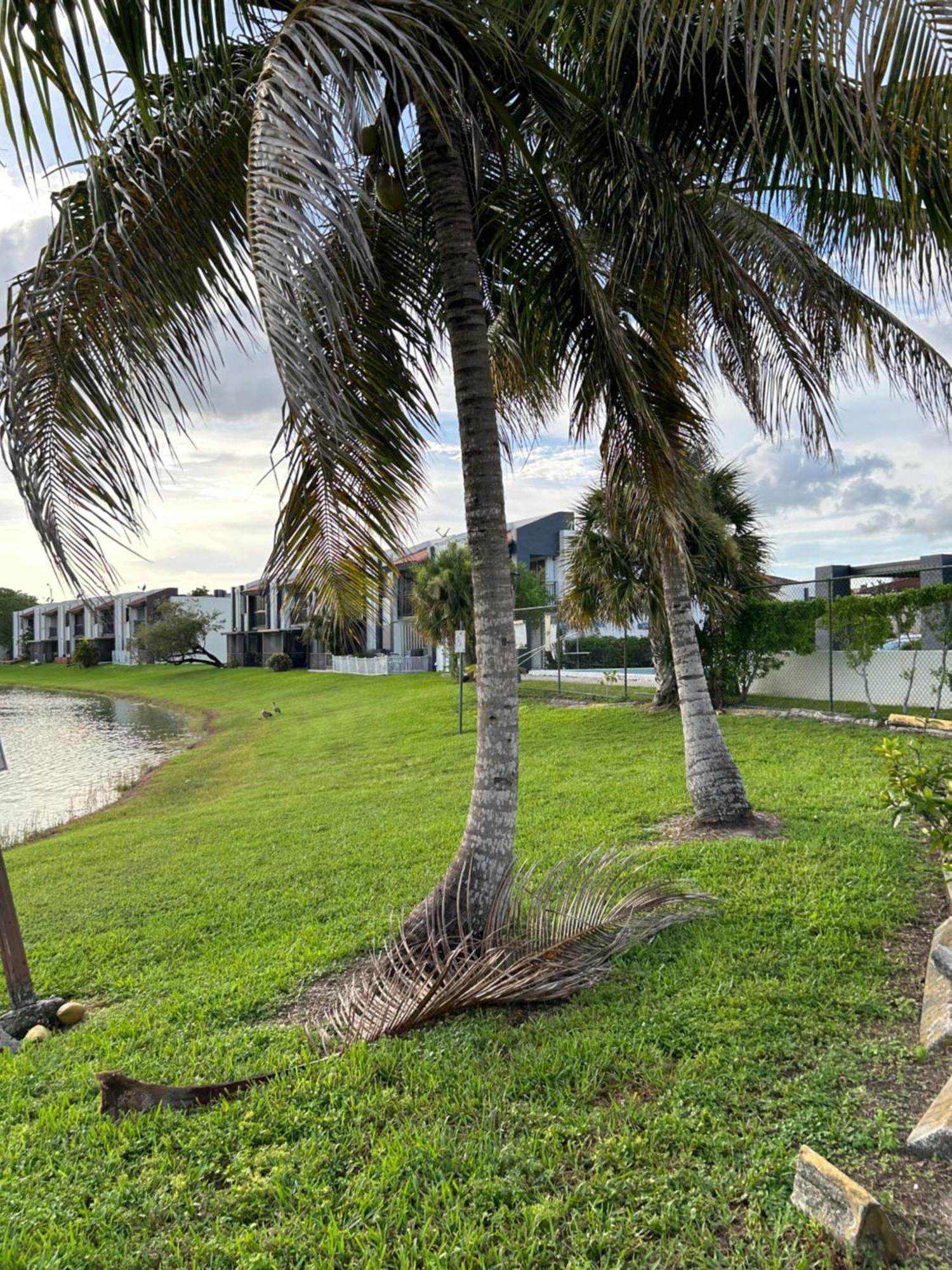 Beautiful Apartment With Very Elegant Colonial Decoration Tamiami Bagian luar foto